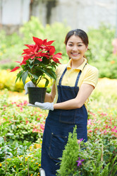 Similar image 20766425