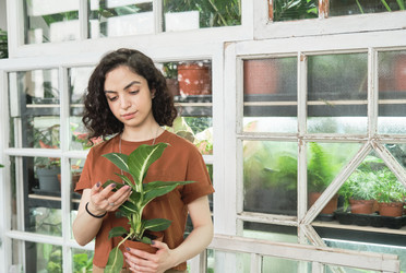 Similar image 20756949