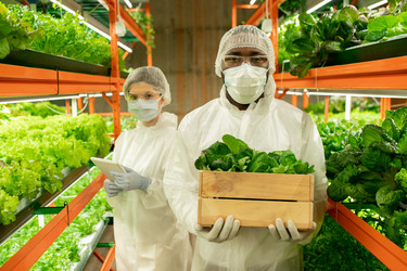 Similar image 20760656