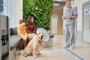 Similar image 20769869