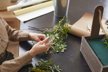 Similar image 20768587