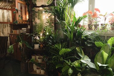 Similar image 20765267