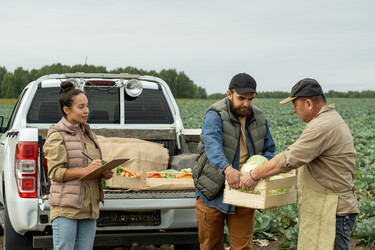 Similar image 20786070