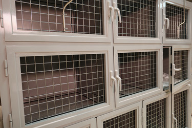 Similar image 20770092