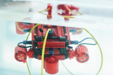 Similar image 20773200