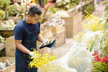 Similar image 20766671