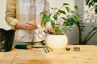 Similar image 20757056