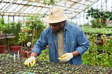 Similar image 20772641