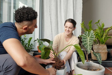 Similar image 20759470