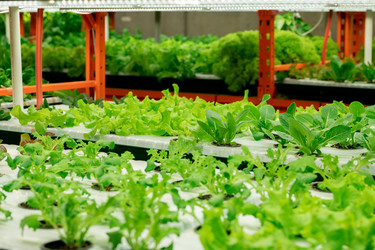 Similar image 20778716