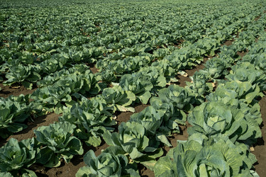 Similar image 20779259