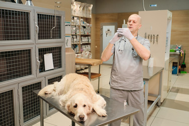 Similar image 20755224