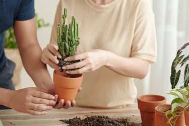 Similar image 20776727