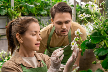 Similar image 20775287