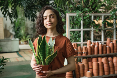 Similar image 20753318