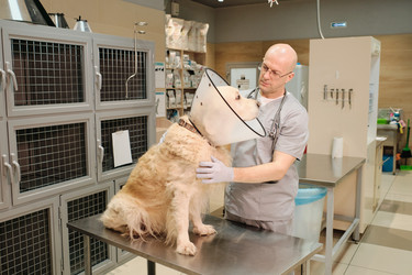 Similar image 20775883