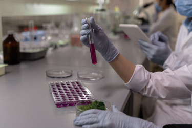 Similar image 20769802