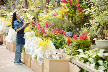 Similar image 20754903