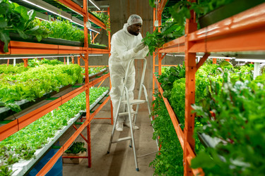 Similar image 20757192