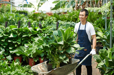 Similar image 20765479