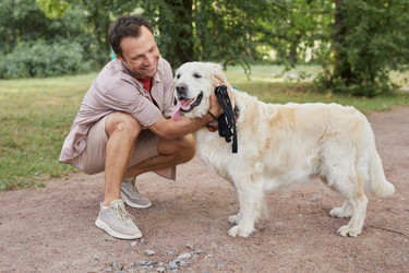 Similar image 20777396