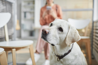 Similar image 20752194