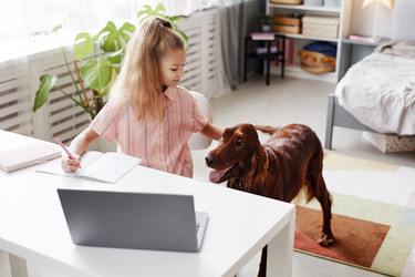 Similar image 20756824