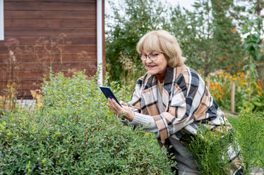 Similar image 20772853