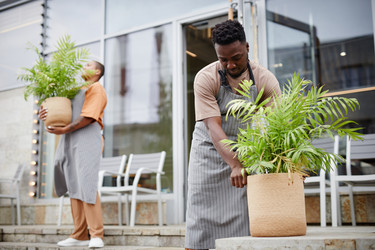 Similar image 20786727