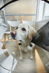 Similar image 20768977