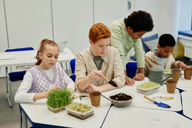 Similar image 20777099