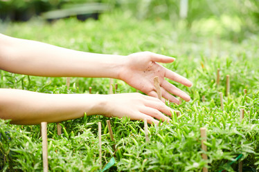 Similar image 20780486