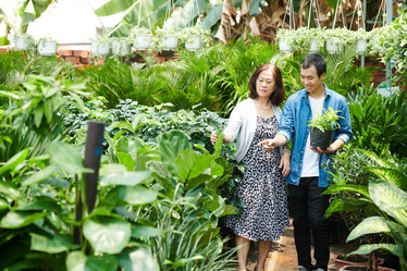 Similar image 20776008