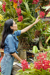 Similar image 20766937