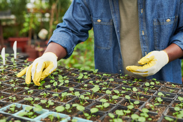 Similar image 20761021