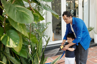 Similar image 20772708