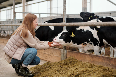 Similar image 20778001