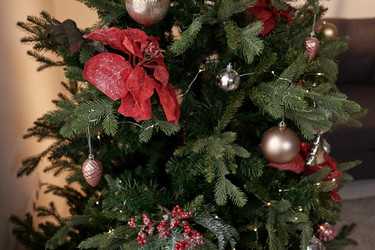 Similar image 20785307