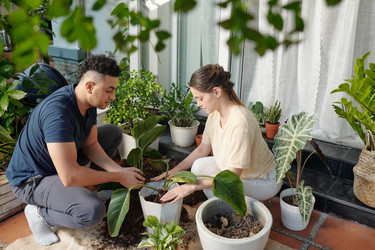 Similar image 20770192