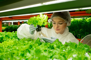 Similar image 20773359