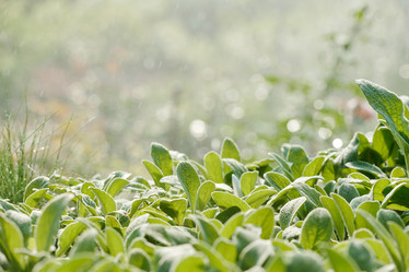 Similar image 20774514