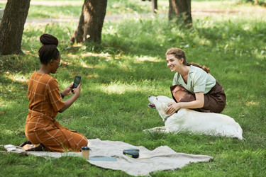 Similar image 20784209