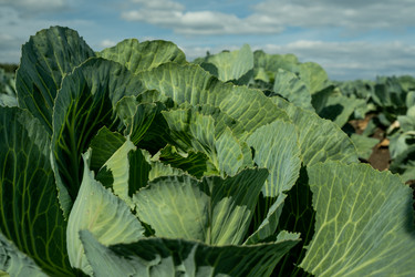 Similar image 20785637