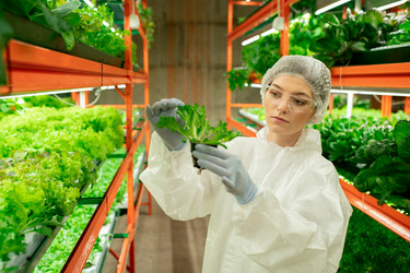 Similar image 20766599