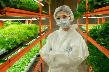 Similar image 20754986