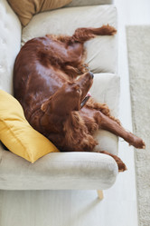 Similar image 20758912