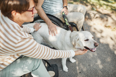 Similar image 20774587