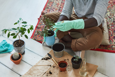 Similar image 20775807