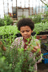 Similar image 20762845