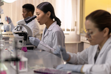 Similar image 20770069